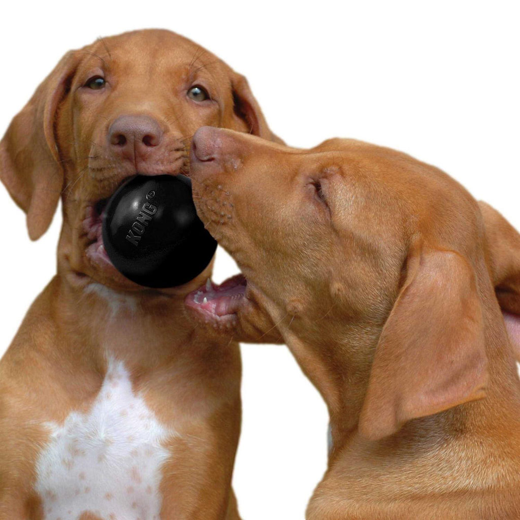 KONG Ball Dog Toy E309