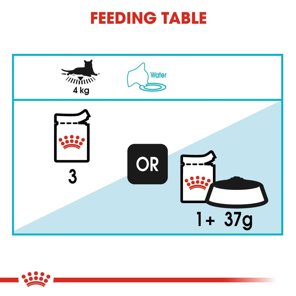 Wet Cat Food Q665