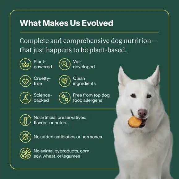 Dry Dog Food K675743