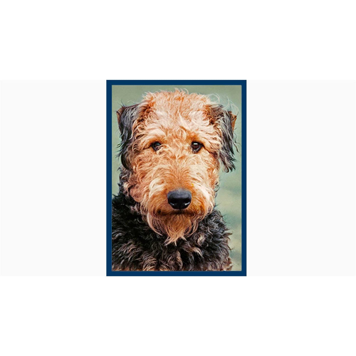 Dental Bones Dog Treats I9326