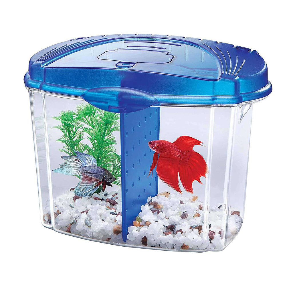 Betta Bowl Kit J46560