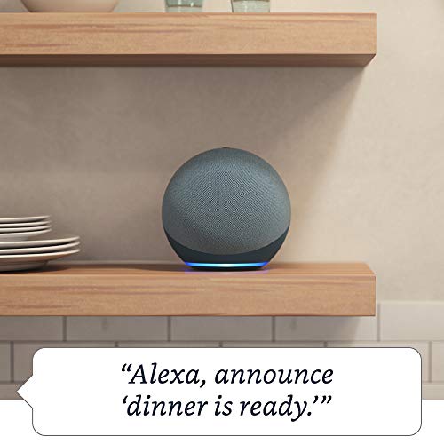 Charcoal Alexa Speaker E981